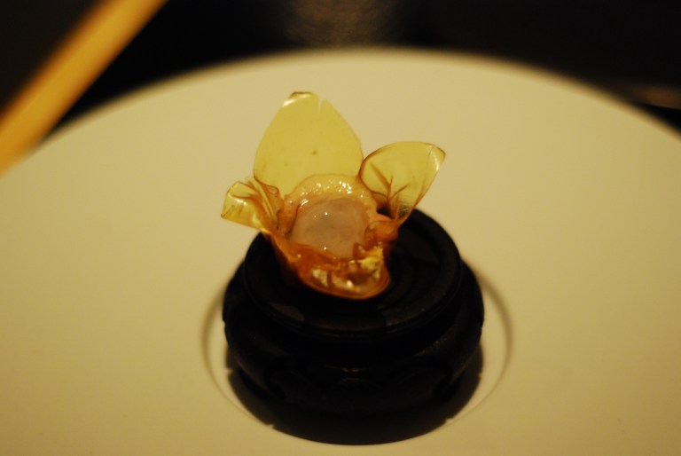 oyster, pork belly, kimchi