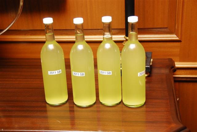 Sauvignon Blanc "Freckled Farm" Napa County 2011