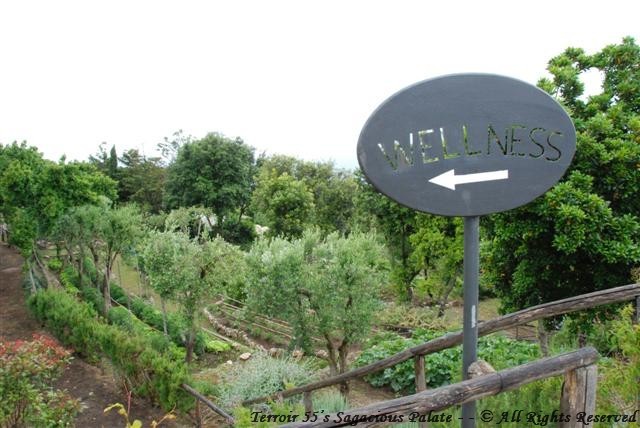 Caesar Augustus - Wellness Area