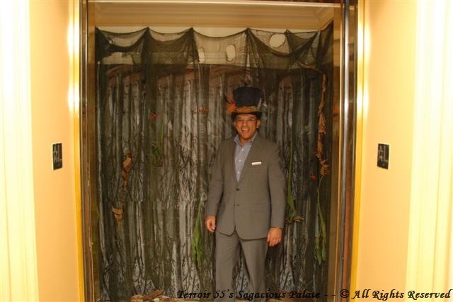 The Rabbit-Hole Entrance