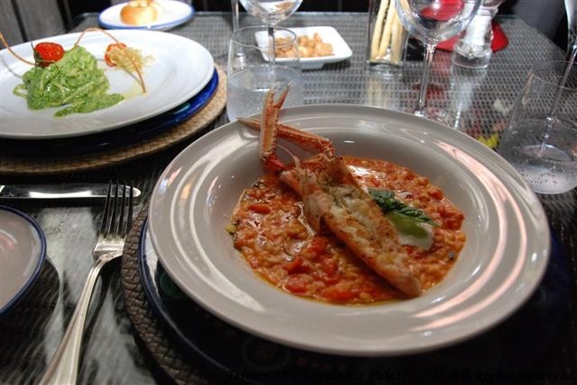 Risotto with tomatoes sauce, scampi, burrata cheese and Capri lemon dressing