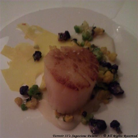 Scallop