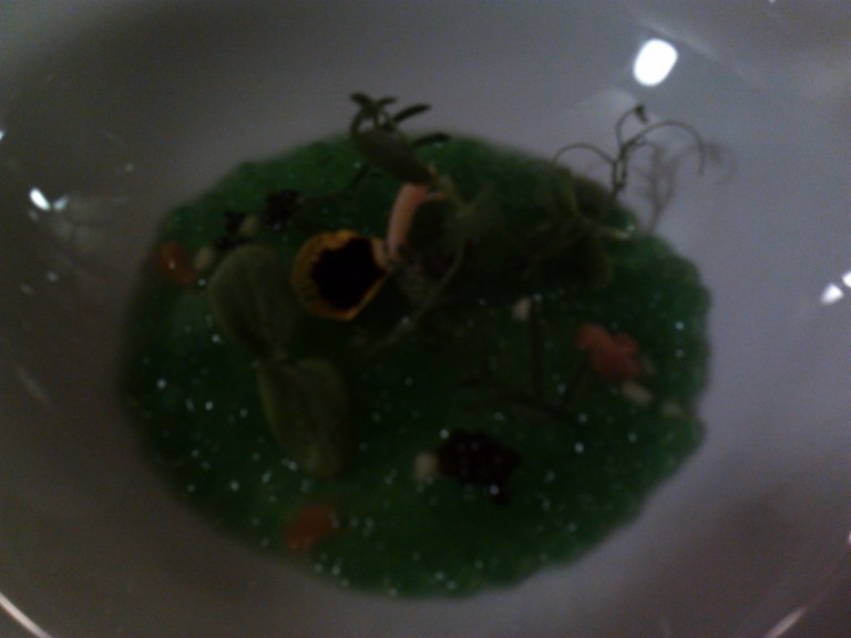 Green tortellini with seafood