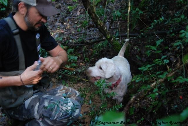 Water break for Giotto