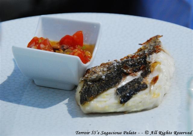 Le bar des côtes Françaises ( The sea bass from French Coasts)