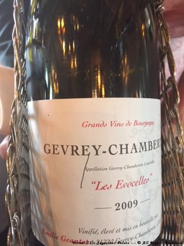 2009 Gevrey-Chambertin, Domaine Emilie Geantet