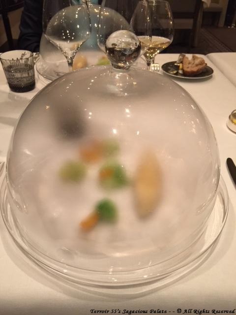 Roasted John Dory, cabbage and citrus emulsion