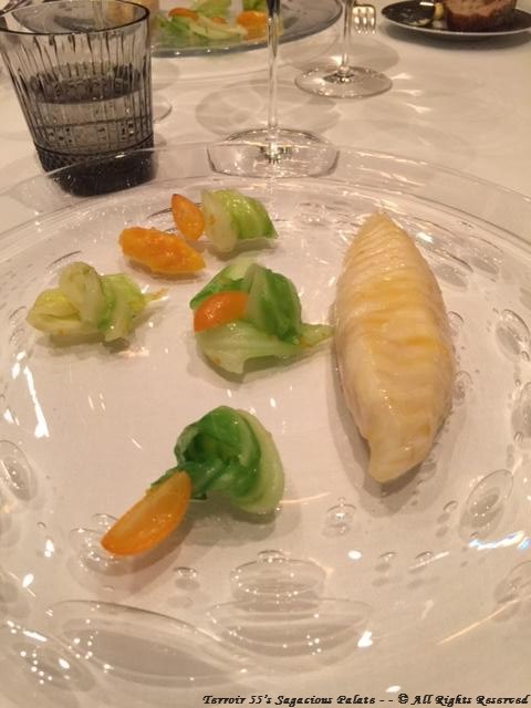 Roasted John Dory, cabbage and citrus emulsion