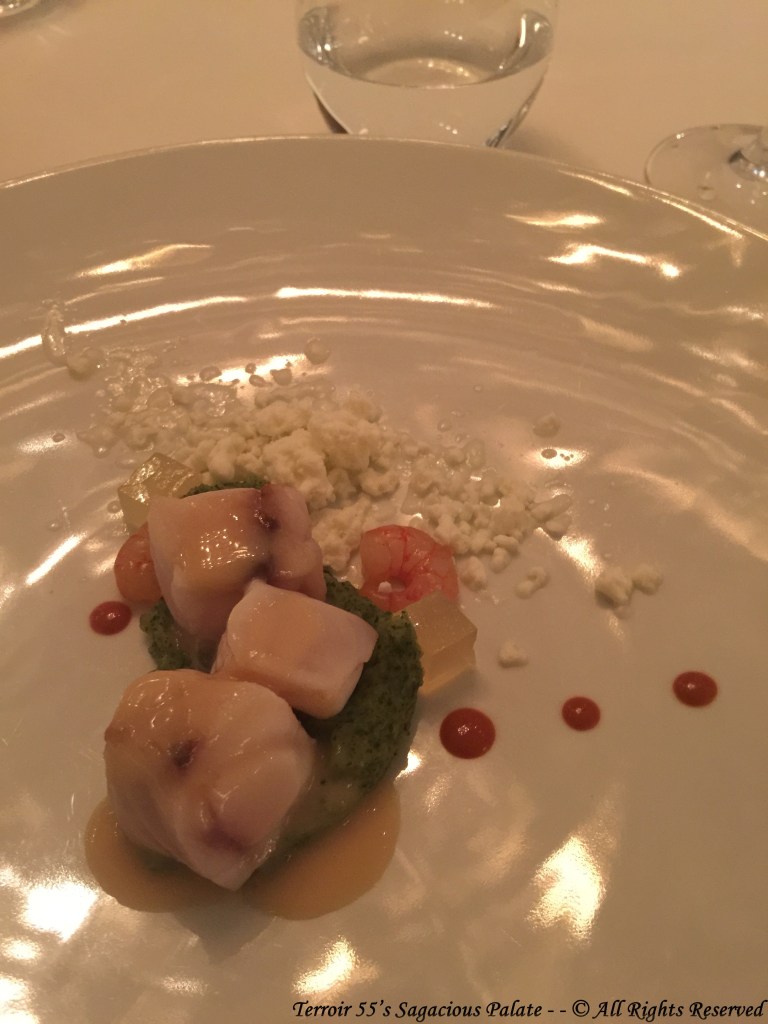 Grouper with Alt Emporda touches, patch, sea and mountains.