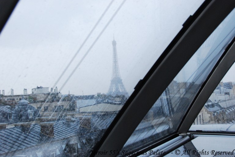 View from L'Oiseau Blanc