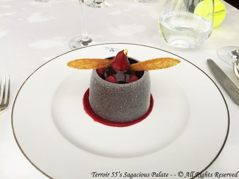 "Envol" chocolate cake, raspberry sorbet