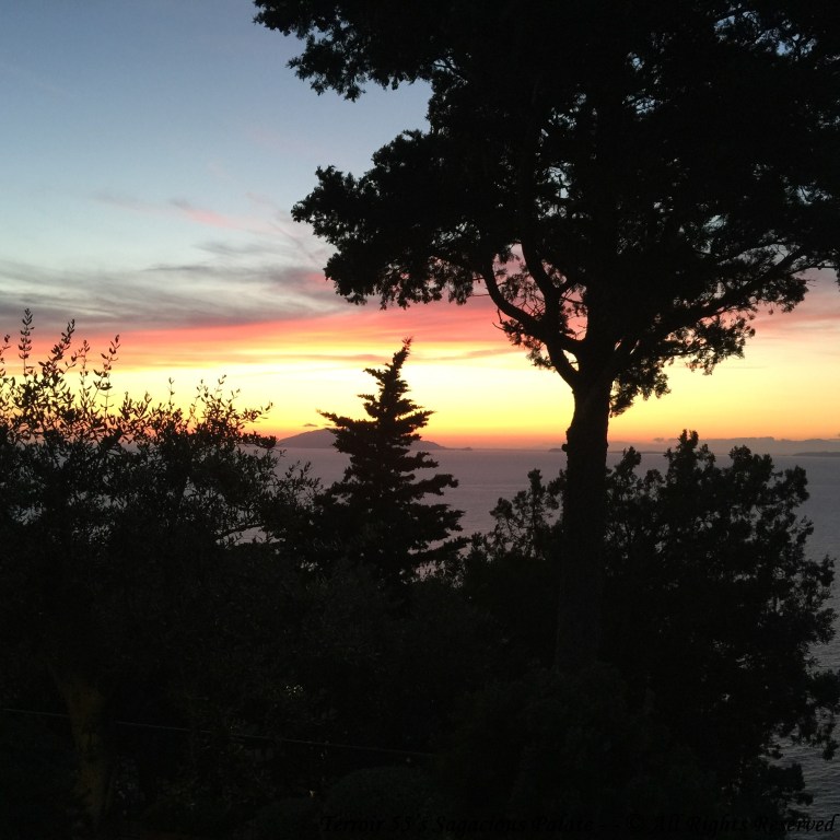 Caesar Augustus - Sunset