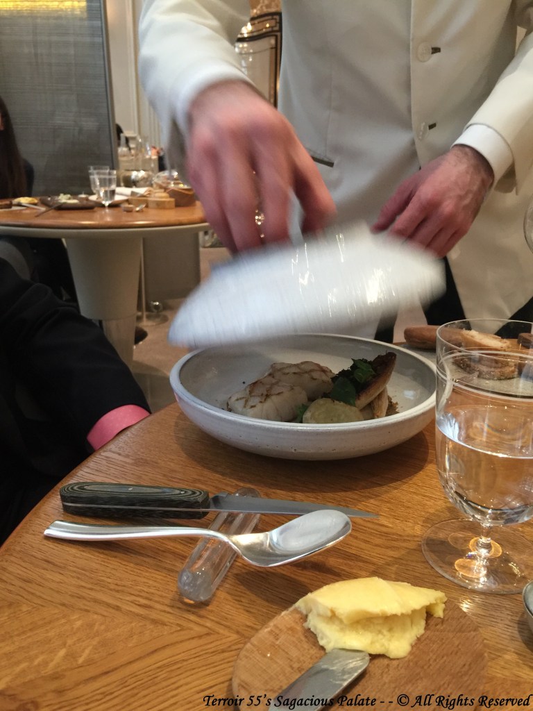 Bar de l’Atlantique endives de pleine terre truffée, amarante